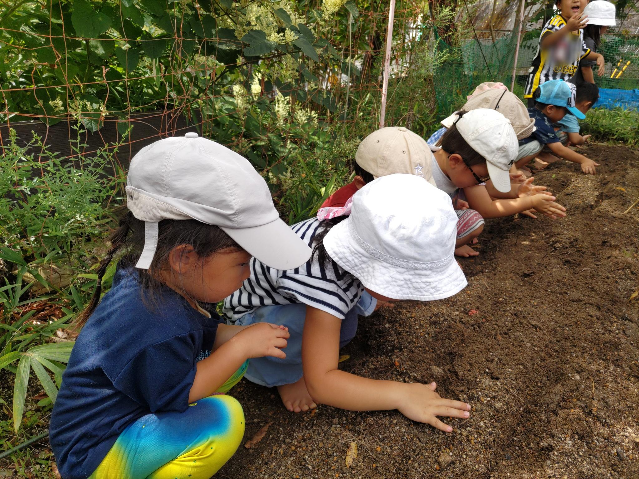 廿日市くすのき幼稚園】おおきくなーれ！ 幼児クラス